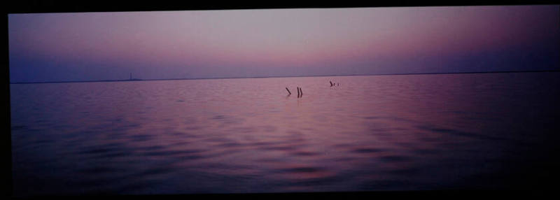 Silent Pond
