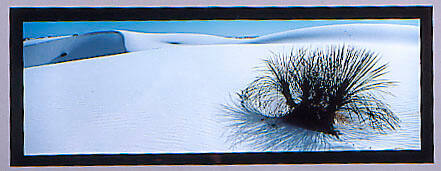 Dune at White Sands II