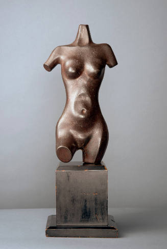 Torso