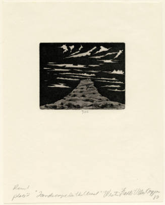 Landscape In The West