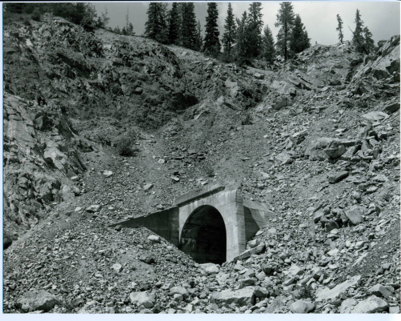 Kettle Valley #81