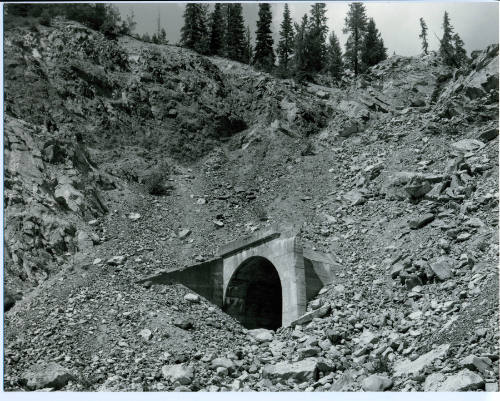 Kettle Valley #81