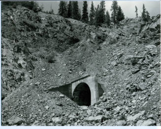 Kettle Valley #81
