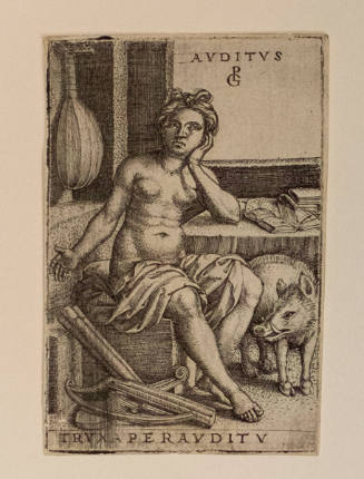 Hearing (Auditus)