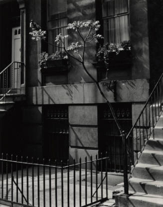 [brownstone, New York]