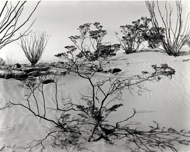 [White Sands desert landscape]