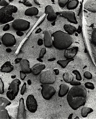 [rocks on black beach with feather, California]