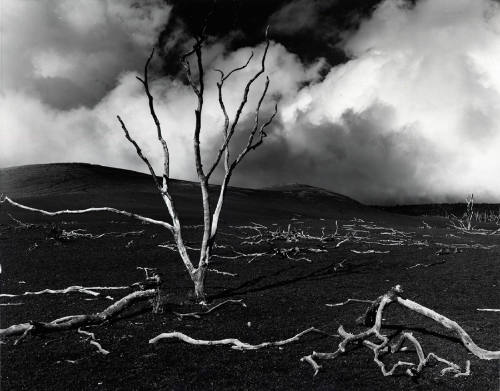 [volcanic devastation, Hawaii]