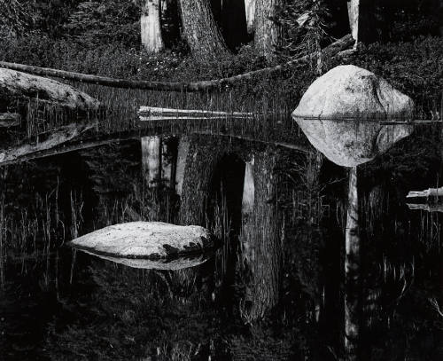 [shoreline reflections, High Sierra]