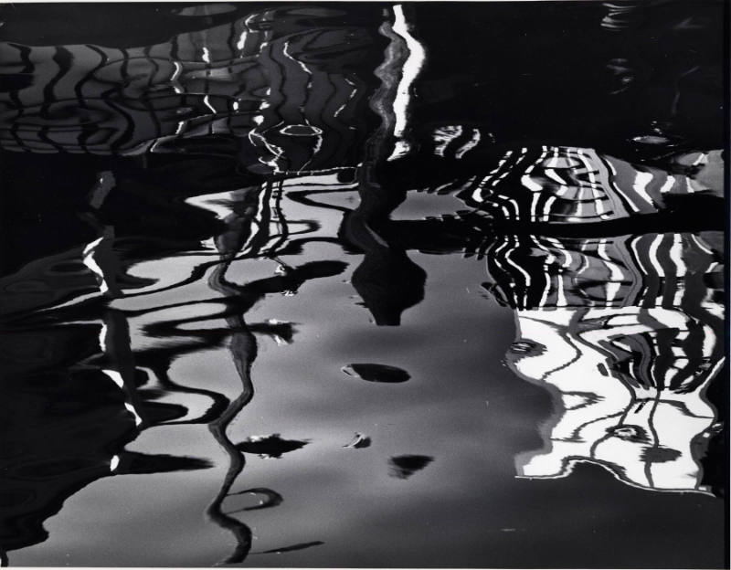 [water reflection]