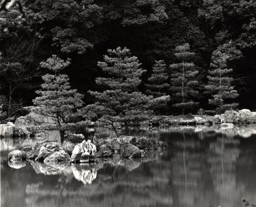 [trees and water, Japan]