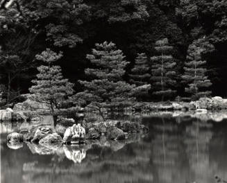 [trees and water, Japan]