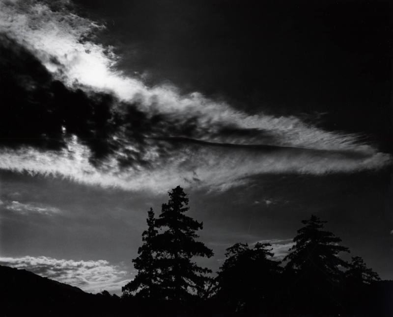 [trees, clouds, landscape]