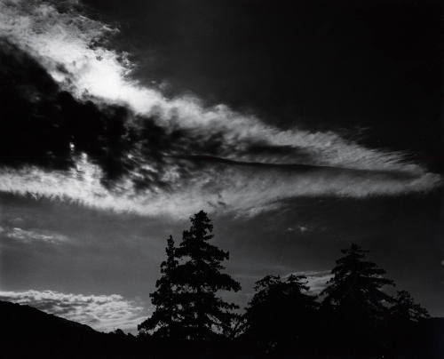 [trees, clouds, landscape]