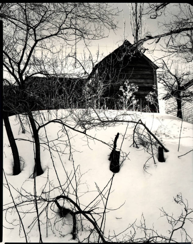 [snow, house, trees, High Sierra]