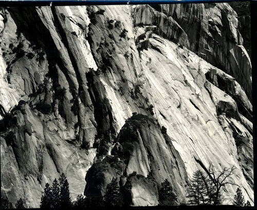 [rock wall and tree, Yosemite]