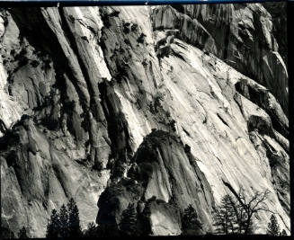 [rock wall and tree, Yosemite]