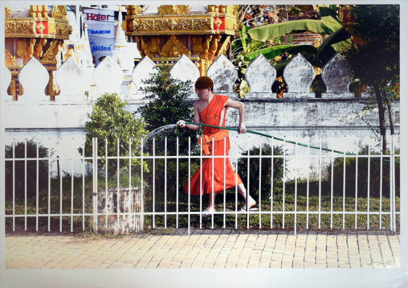 Watering the Temple Right-of-Way