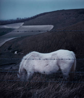 White Horse, Sussex Downs, England