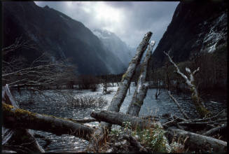 Milford Trek, New Zealand