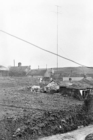 Small Farm, Tall Antenna, Grazing Horse, Dublin