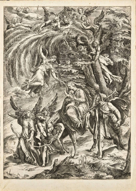Object Overall