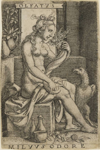 Smell (Olfatus)