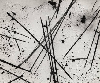 [pine needles and snow]