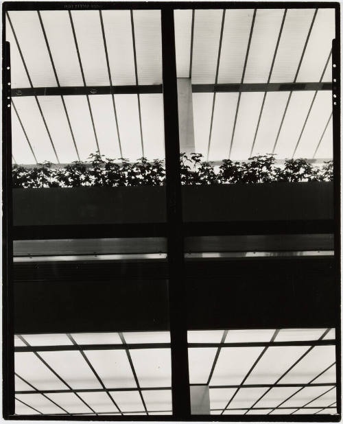 [Manufacturers Hanover Trust, New York]
