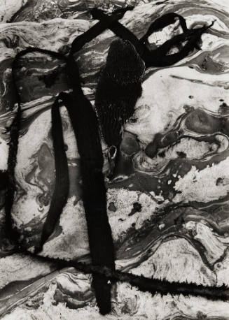 [kelp and rock]