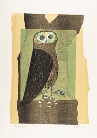 Kauz im Baum [Owl in Tree]