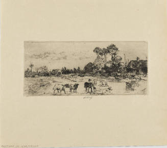 Pasture in Normandy