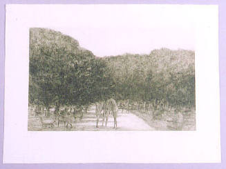 Le Grand Jardin