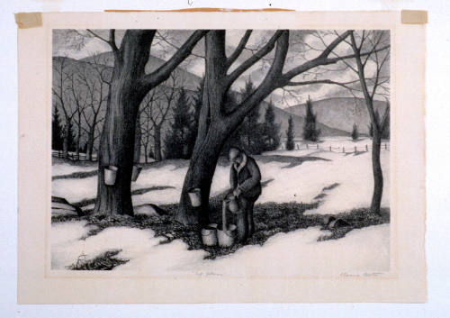 Sap Gatherer