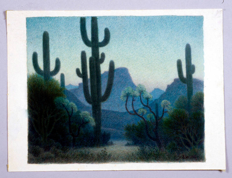 Arizona Nocturne