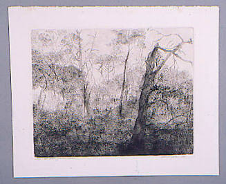 Ar Bear Grass Creek