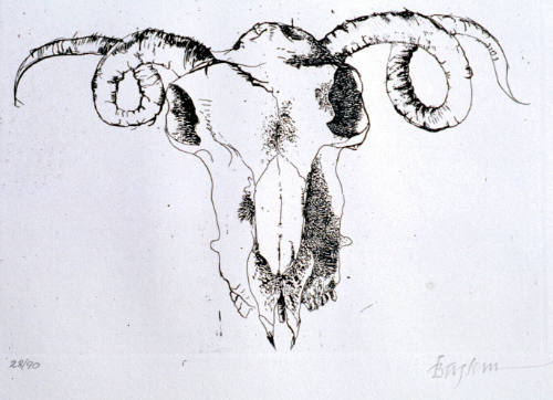 Ram's Skull