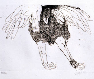 Eagle