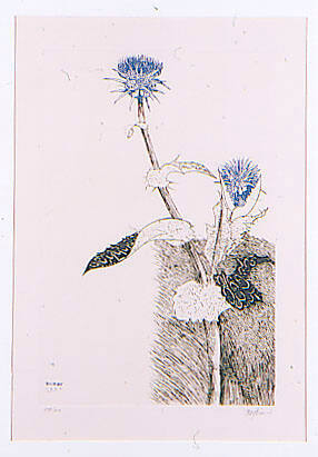 Thistle and Blue Flower (or Blue Teasels)