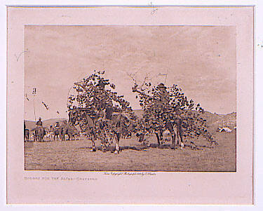 Boughs for the Altar - Cheyenne