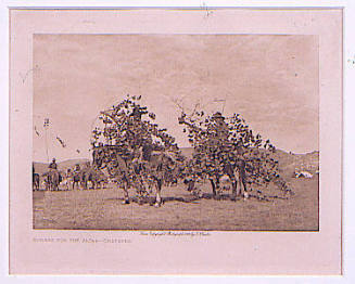 Boughs for the Altar - Cheyenne