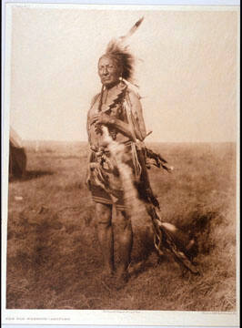 Old Warrior - Arapaho