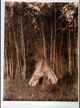 A Chipewyan Tipi Among the Aspens