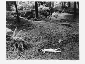 Child in Forest