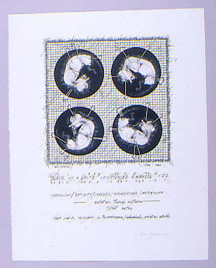 Pierced Embryos