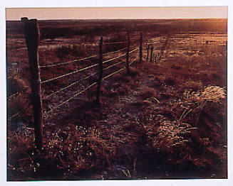 Drift Fence in Far Western Oklahoma, Near the Texas Panhandle Border