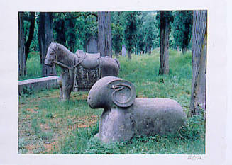 The Kong Forest, Confucius's family cemetery, Qufu, Shandong