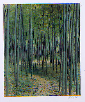 Bamboo grove near Hangzhou, Zhejiang