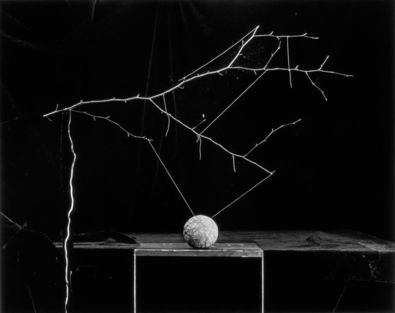 Untitled (Web 2)