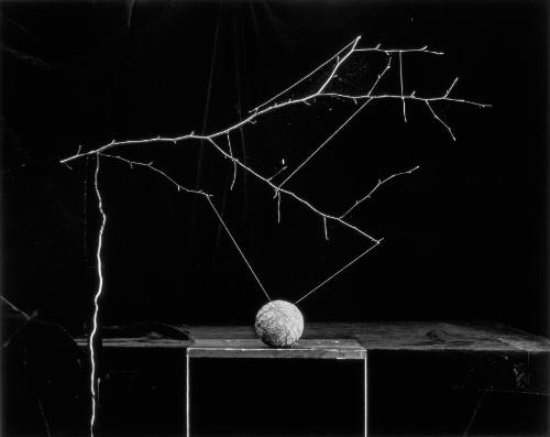 Untitled (Web 2)